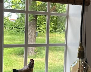 Uitzicht door het raam van Vakantiehuis in Schoonoord, Zuidoost Drenthe, op groene omgeving.