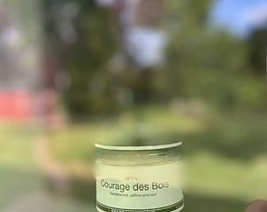 Detail van raamdecoratie in Vakantiehuis in Schoonoord, Drenthe, met groene achtergrond.