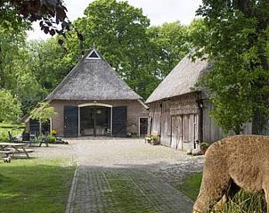 Guest house 192103 • Holiday property Zuidoost Drenthe • Vakantiehuisje in Oosterhesselen 