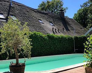 Zwembad bij vakantiehuis in Oosterhesselen, omgeven door groene natuur in Zuidoost Drenthe.