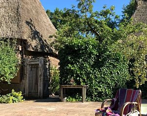Buitenterras van vakantiehuis in Oosterhesselen, omgeven door weelderige natuur in Drenthe.