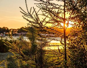 Kinderen spelen op zandheuvel bij het meer in Erm, Drenthe, omringd door natuur.