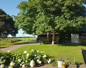 Groene tuin met bloemen bij Vakantiehuisje in Erm, Drenthe, ideaal voor ontspanning.