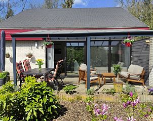 Zonnige patio van Huisje in Geesbrug, vakantiehuis in Geesbrug, Zuidoost Drenthe, met tuinmeubelen en kleurrijke bloemen.