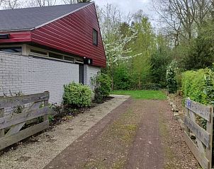 Toegangspad naar Huisje in Geesbrug, vakantiehuis in Geesbrug, Zuidoost Drenthe, omgeven door natuurlijke begroeiing.