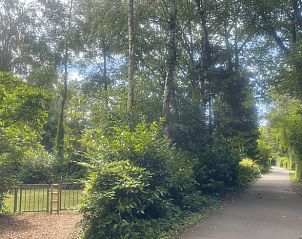 Omgeving van Huisje in Geesbrug, vakantiehuis in het bosrijke Drenthe.