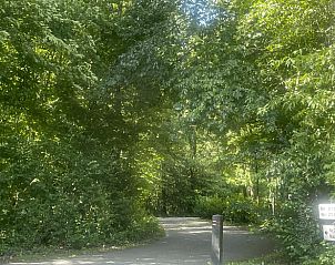 Natuurlijke omgeving rondom Huisje in Geesbrug, vakantieverblijf in Drenthe.