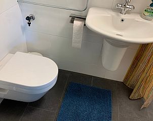 Badkamer met moderne voorzieningen in Huisje in Geesbrug, vakantiewoning in Drenthe.