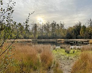 Rustig meer in de natuur bij Huisje in Geesbrug, vakantieverblijf in Geesbrug, Drenthe.