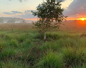 Ochtendzon boven de velden rondom Huisje in Geesbrug, vakantiehuis in Drenthe.