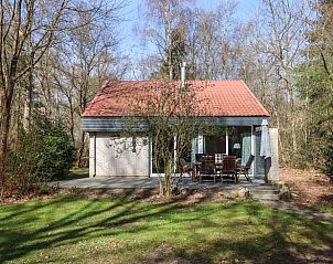 Gezellig terras bij Vakantiehuisje in Geesbrug, Drenthe omgeven door natuur.
