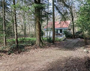 Bosrijke omgeving van Vakantiehuisje in Geesbrug, Drenthe met pad naar huisje.