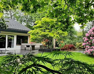 Weelderige tuin bij Vakantiehuisje in Geesbrug, Drenthe, met kleurrijke bloemen en serene omgeving.