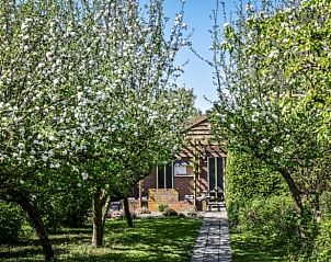 Guest house 192412 - Holiday property Zuidoost Drenthe - Vakantiehuis in Geesbrug