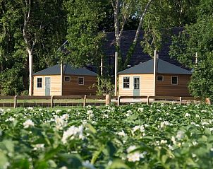 Vakantiehuisjes in Coevorden omgeven door natuur en bloemenvelden in Drenthe.