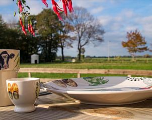 Uitzicht vanaf terras van Vakantiehuisje in Coevorden, geniet van het landschap in Drenthe.