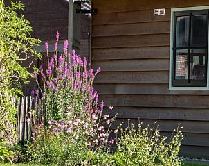 Bloeiende tuin bij Vakantiehuisje in Coevorden, ontspanning in de natuur van Drenthe.