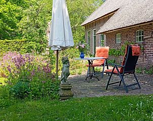 Schaduwrijk terras bij Huisje in Benneveld, vakantiehuis in Drenthe met comfortabele stoelen.