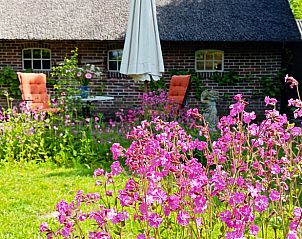 Bloeiende tuin bij Huisje in Benneveld, vakantiehuis in Drenthe met kleurrijke bloemen.