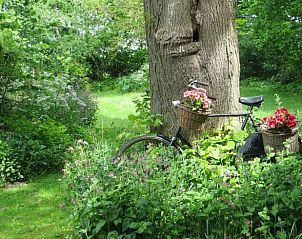 Landelijke fietsdecoratie bij Huisje in Benneveld, vakantiehuis in Drenthe met bloemen.