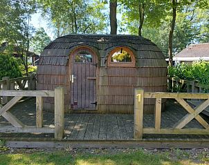 Guest house 192912 • Holiday property Zuidoost Drenthe • IGLO Trekkershut 