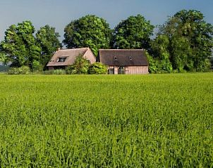 Uitzicht op Vakantiehuis in Nieuw-Schoonebeek omgeven door natuur, Zuidoost Drenthe.