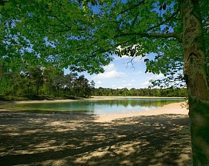 Bosrijke omgeving van Vakantiehuis in Nieuw-Schoonebeek met meer, Zuidoost Drenthe.