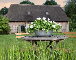 Verblijf 193002 - Vakantiewoning Zuidoost Drenthe - DG2049