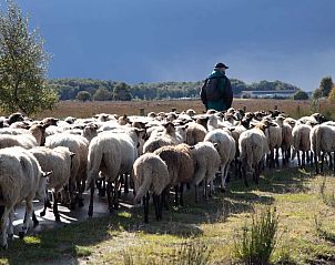 Unterkunft 193002 - Ferienhaus Zuidoost Drenthe - DG2049