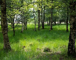 Unterkunft 193002 - Ferienhaus Zuidoost Drenthe - DG2049