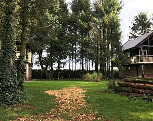 Uitzicht op de tuin van Vakantiehuisje in Erica, Zuidoost Drenthe, met serene bosrijke omgeving.