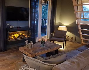 Gezellige woonkamer in Vakantiehuisje in Erica, Drenthe, met open haard en comfortabele zithoek.