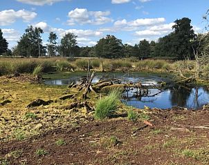 Rustiek landschap nabij Vakantiehuisje in Erica, Zuidoost Drenthe, met water en bomen.