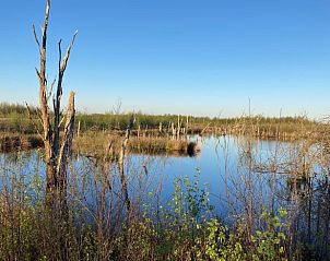 Natuurrijke omgeving met water nabij Vakantiehuisje in Erica, Zuidoost Drenthe.