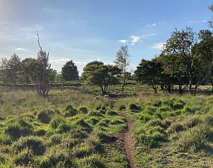 Groene weiden en wandelpaden nabij Vakantiehuis in Erica, Drenthe, perfect voor natuurliefhebbers.