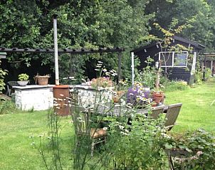 Gezellige tuin met terras bij Vakantiehuisje in Tweede Exlormond, Zuidoost Drenthe, Drenthe.