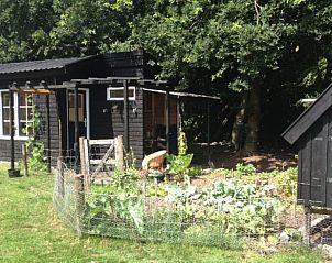 Vakantiehuisje in Tweede Exlormond met moestuin en kippen, Zuidoost Drenthe, Drenthe.
