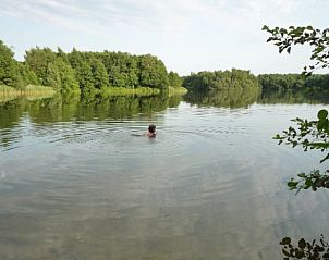Zwemmen in helder meer nabij Vakantiehuisje in Tweede Exlormond, Zuidoost Drenthe, Drenthe.
