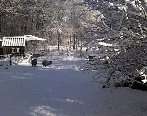 Besneeuwde omgeving bij Vakantiehuisje in Tweede Exlormond, Zuidoost Drenthe, Drenthe.