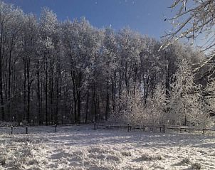 Winterse bossen nabij Vakantiehuisje in Tweede Exlormond, Zuidoost Drenthe, Drenthe.