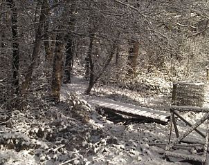 Besneeuwde wandelpaden bij Vakantiehuisje in Tweede Exlormond, Zuidoost Drenthe, Drenthe.
