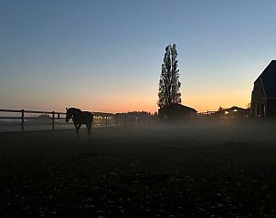 Adembenemende zonsopgang bij Vakantiehuisje in 2e Exloermond, Drenthe, met silhouet van een paard in de mist.