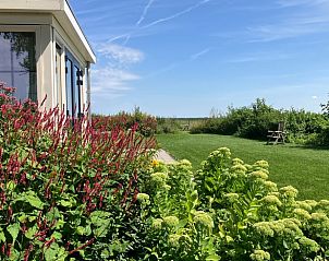 Tuin van Huisje in Exlorveen, vakantiehuis in Drenthe omringd door kleurrijke bloemen.