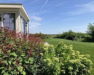 Vakantiehuis DG1647 in Exlorveen met kleurrijke bloemen in de tuin.