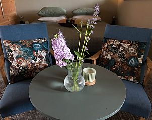 Knusse zithoek in Vakantiehuis in Klijndijk, Zuidoost Drenthe met bloemen en decoratie.