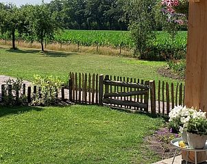 Uitzicht op groene velden vanuit Vakantiehuis in Klijndijk, Drenthe voor rust en ontspanning.