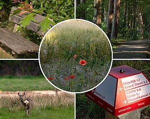 Natuurrijke omgeving van Vakantiehuis in Klijndijk, Zuidoost Drenthe met wandelroutes.