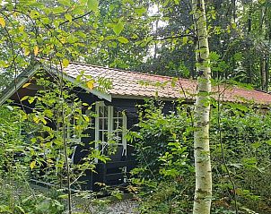 Zijaanzicht van Vakantiehuisje in 't Haantje, Drenthe, omgeven door weelderige bomen.