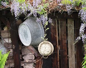 Decoratieve details in de tuin van Vakantiehuis in Odoornerveen, Zuidoost Drenthe, Drenthe.
