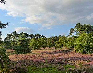 Verblijf 193814 - Vakantiewoning Zuidoost Drenthe - Vakantiehuisje in Odoornerveen